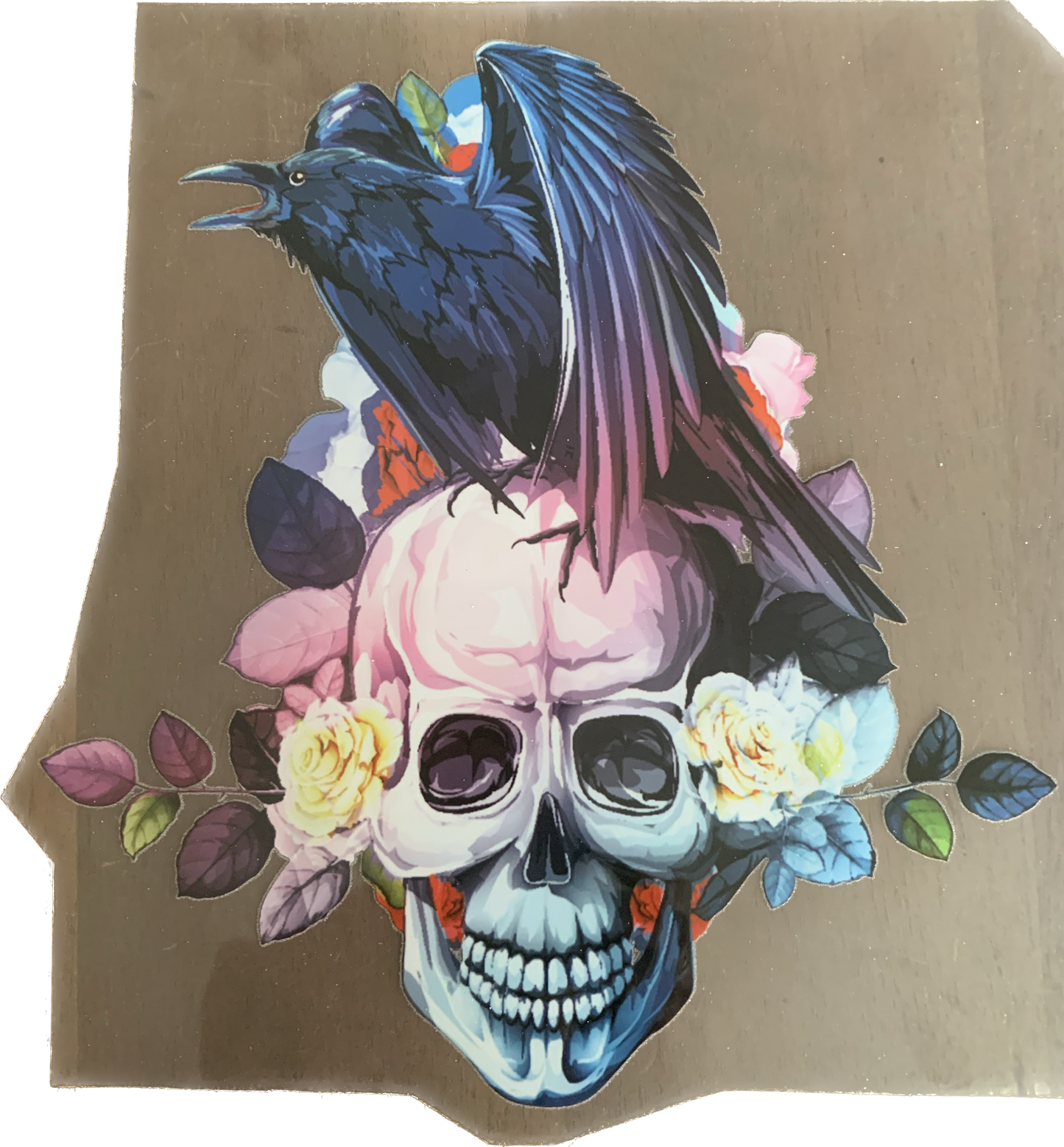 Raven/Skull - Iron On Decal - Sold Individually