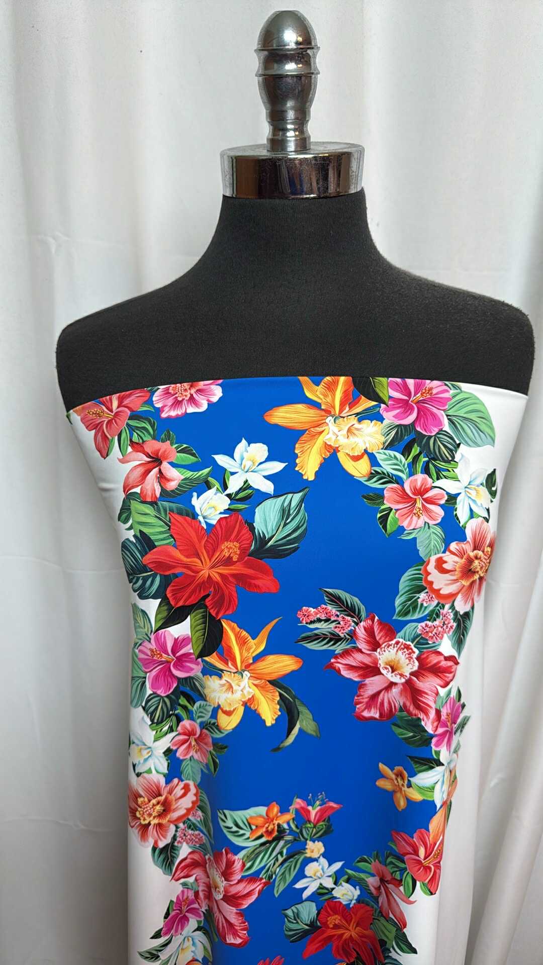 135 - Double-Border Nylon/Spandex Swim -  2 Yard Cut