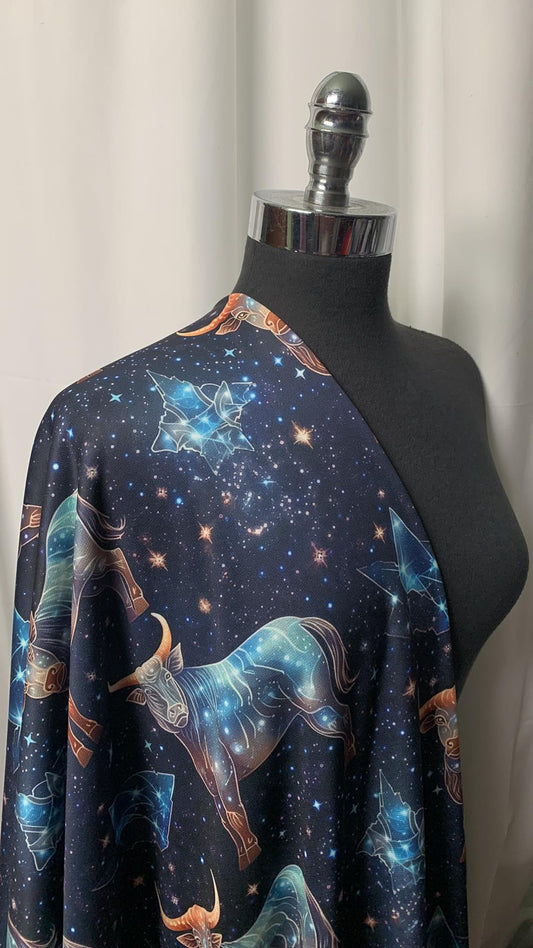 Celestial Series: 3 - Sport Fleece - 2 Yard Cut